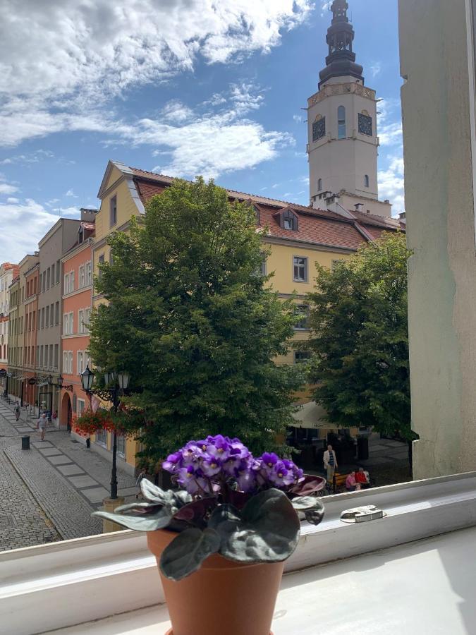 Rynekart Apartment Швидница Екстериор снимка